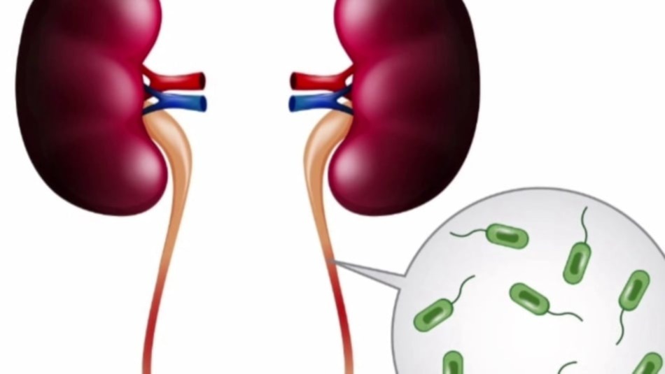 Ενδοσκοπική Κάψουλα για τον έλεγχο λεπτού εντέρου